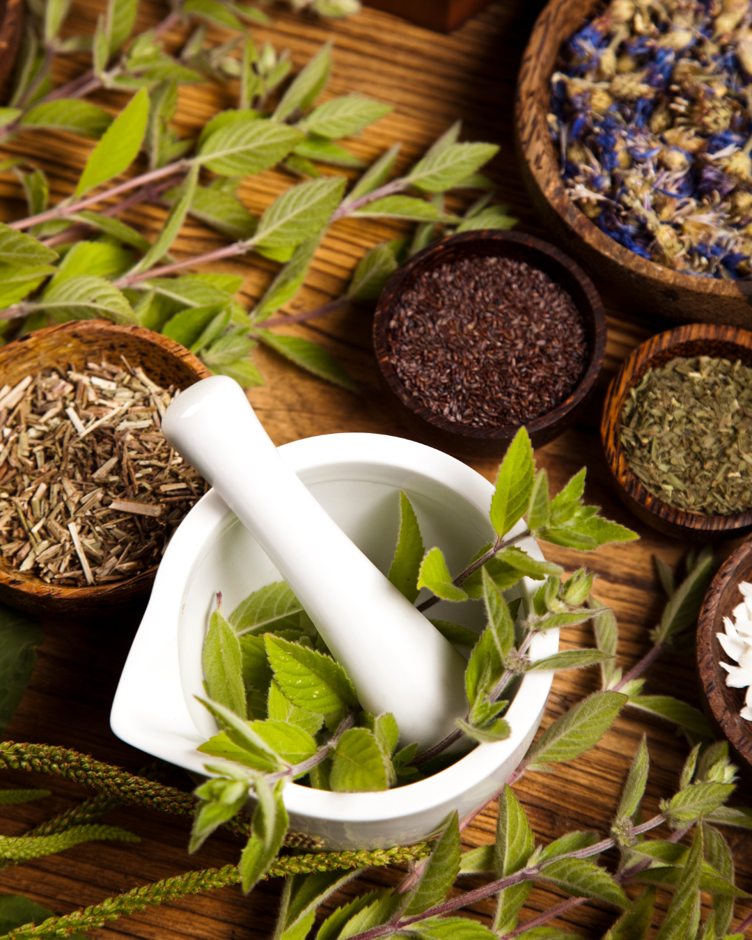 naturopathie-premenopause-equilibre-hormonal - plantes médicinales - plantes adaptogenes - phytothérapie